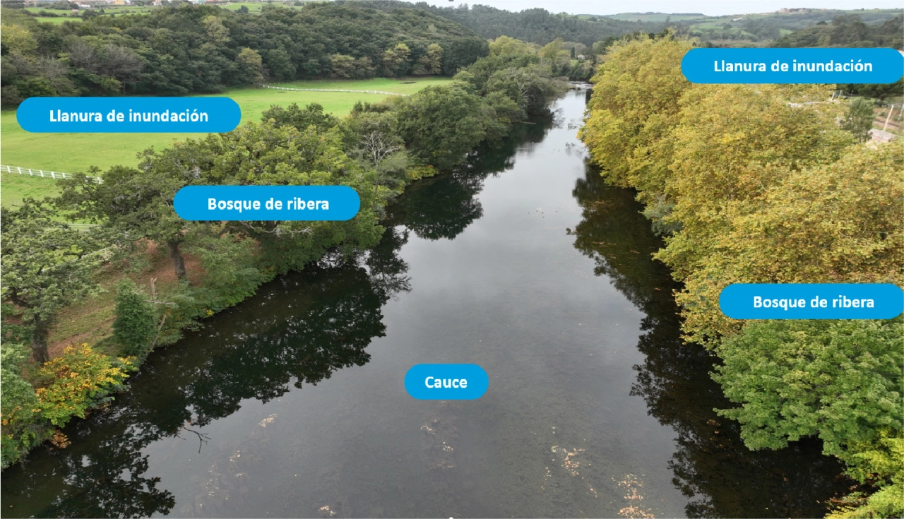 Partes de un río