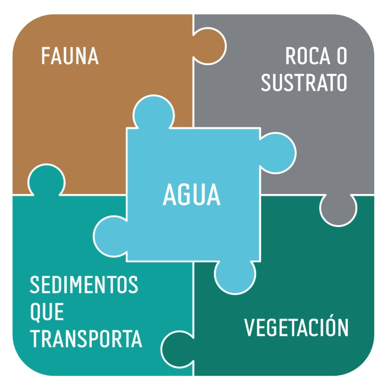 Elementos del ecosistema fluvial