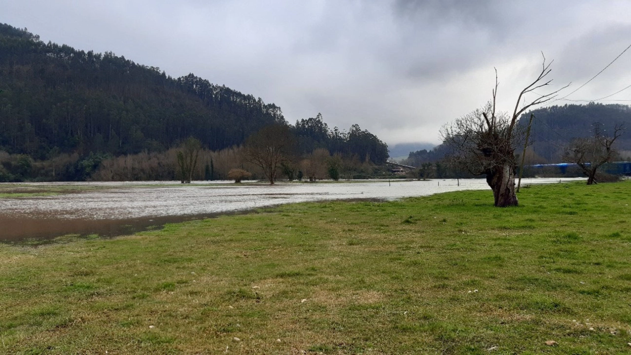 Llanura de inundación en estado natural