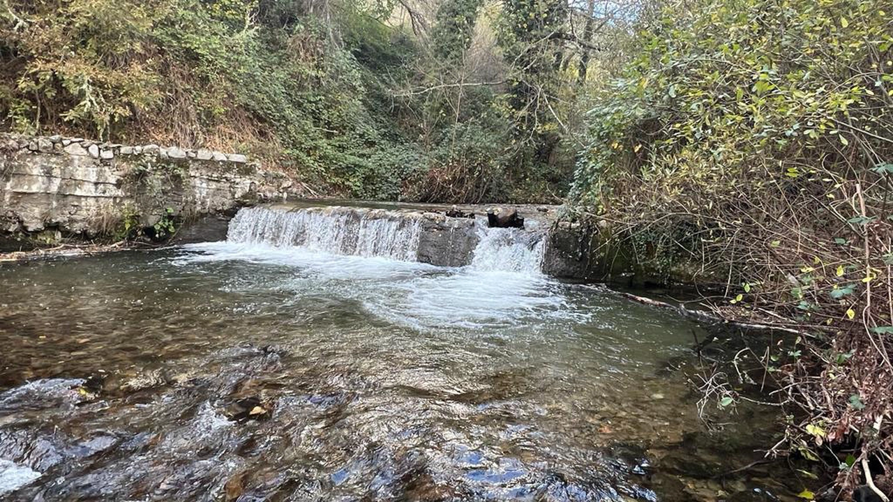 Demolición de azud para restaurar el río