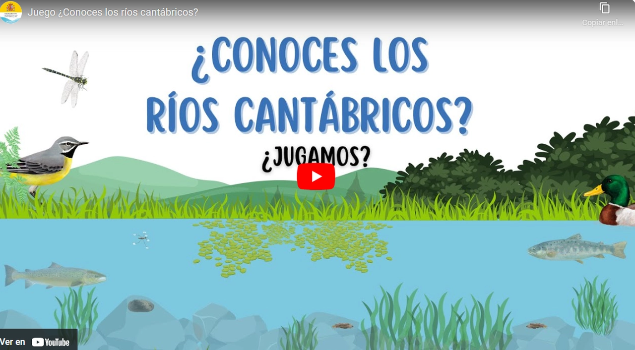 Juega Video jugamos