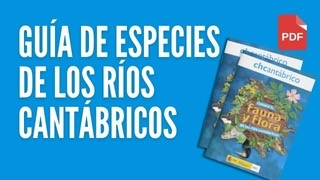 Guía de especies de los ríos cantábricos